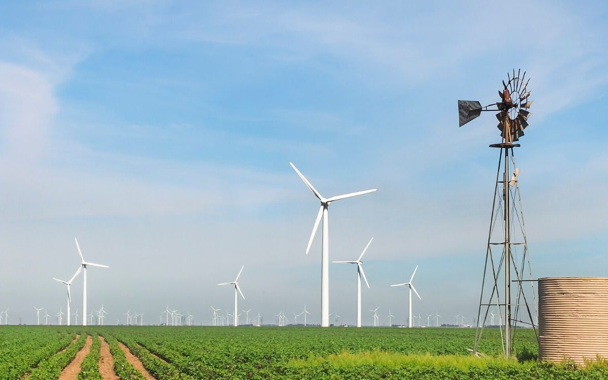 Wind turbines of the Roscoe Wind Farm rising over farmland in West Texas