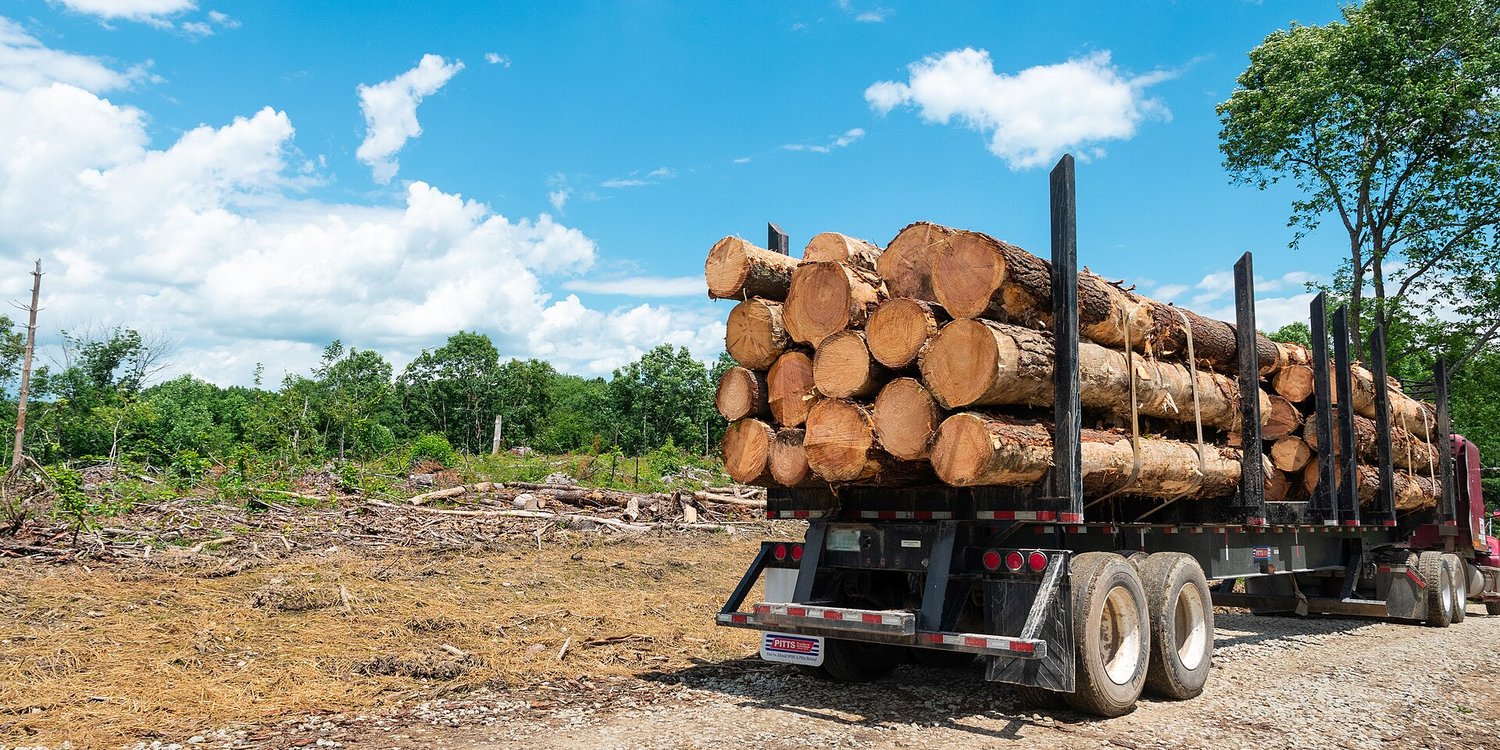 A logging truck loaded with cut tree trunks at a harvested forest site