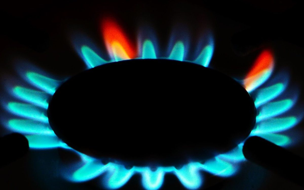 Blue natural gas flames on a gas stove burner